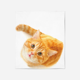 Kvalitni deka - Reddish Cat