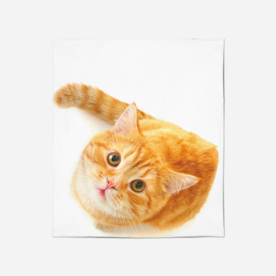 Kvalitni deka - Reddish Cat