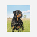 Kvalitni deka - Rottweiler