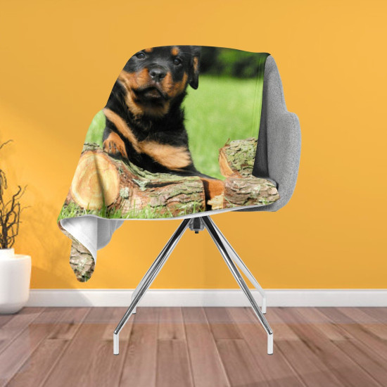 Deka - Rottweiler Baby