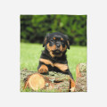 Deka - Rottweiler Baby