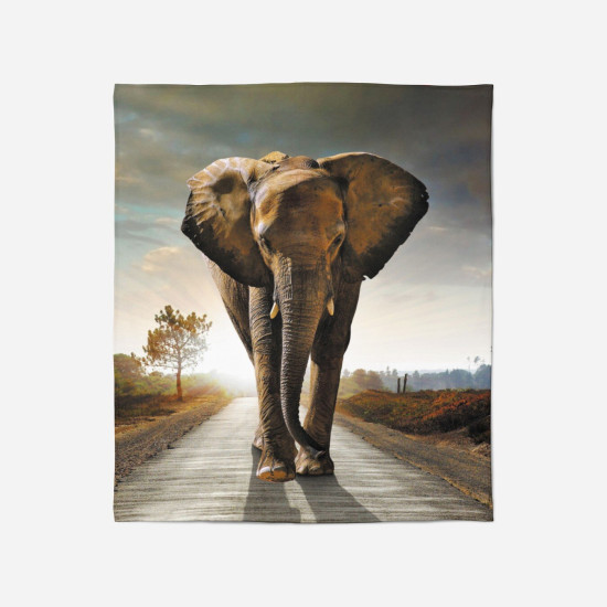 Deka na postel - Elephant
