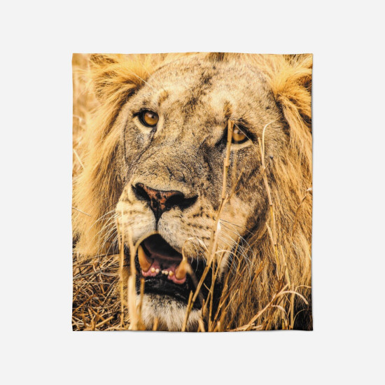 Hebká deka - Lion