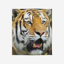 Teplá deka - Tiger