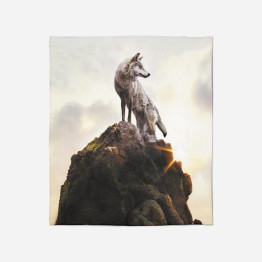 Hebká deka - Wolf on a Rock