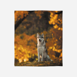 Hřejivá deka - Wolf in The Autumn