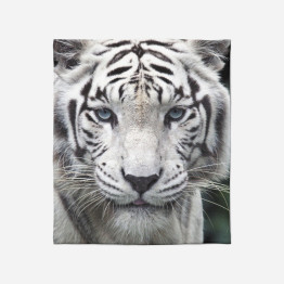 Luxusní deka - White Tiger