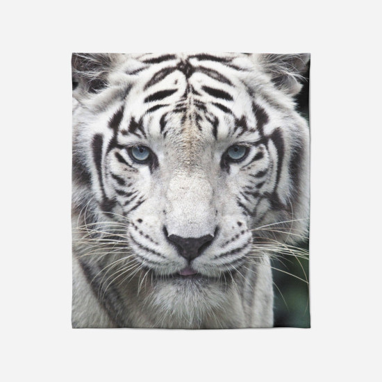 Luxusní deka - White Tiger