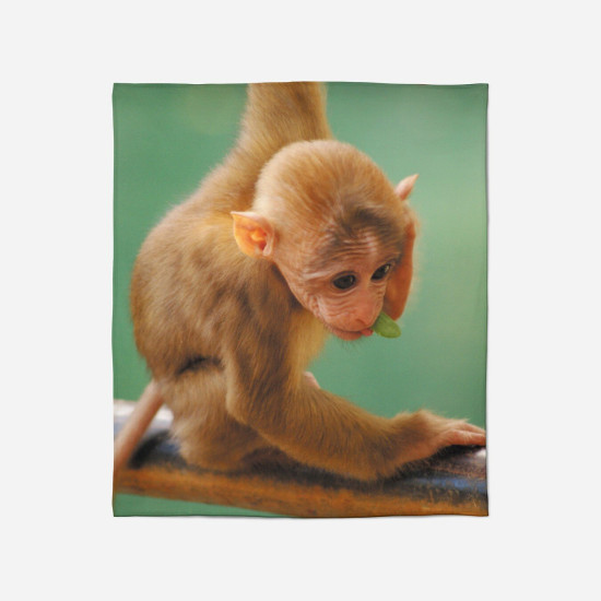 Teplá deka - Funny Monkey