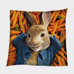 Polštářek - Peter Rabbit