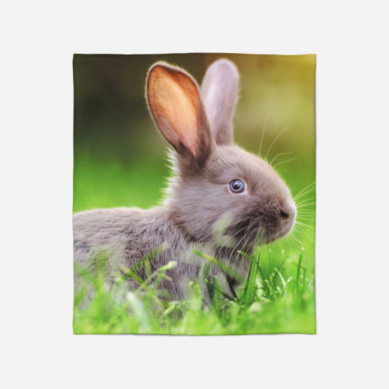 Teplá deka - Rabbit in The Grass