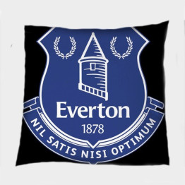 Polštář 45x45 - Everton