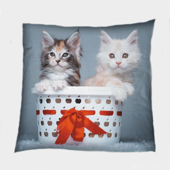 Polštář kočka - Cats in Basket
