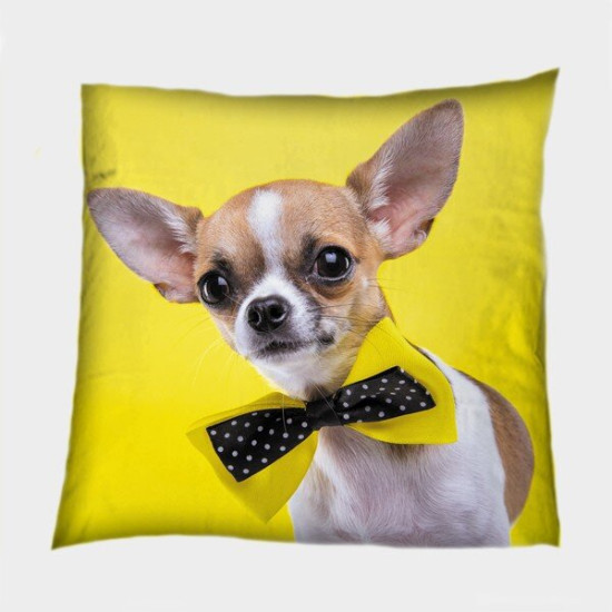 Dekorační polštář luxusní - Chihuahua