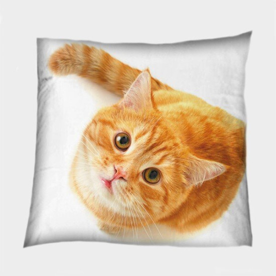 Polštář s kočkou - Red-haired Cat
