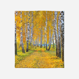 Měkká deka - Birch in Autumn