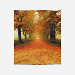 Deka na postel - Autumn Path