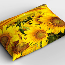 Polštář dekorační - Sunflowers