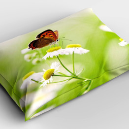Dekorativní polštář - Daisies