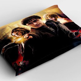 Polštář 45x45 - Harry Potter