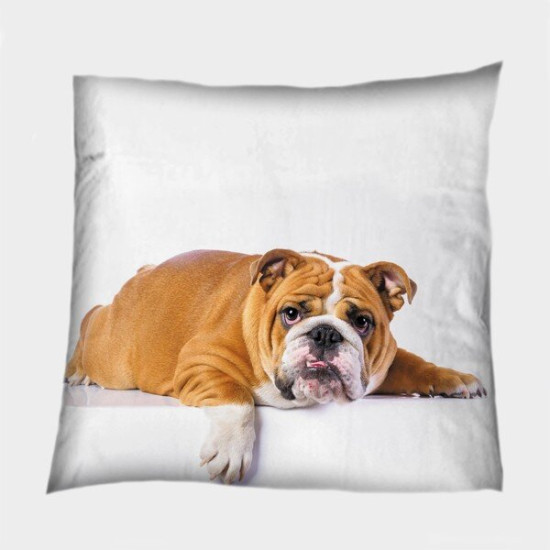 Polštář dekorační - British Bulldog