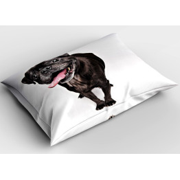 Polštář 45x45 - French Bulldog Black