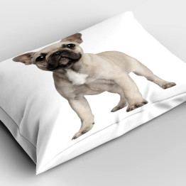 Polštářek - French Bulldog