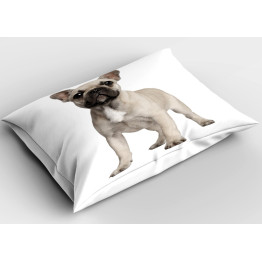 Polštářek - French Bulldog