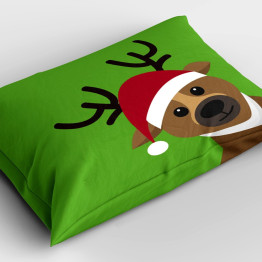Dekorativní polštář - Rudolph