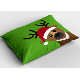 Dekorativní polštář - Rudolph