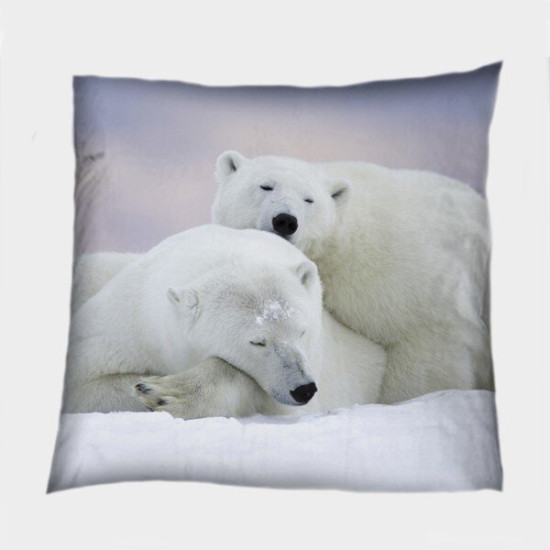 Polštář 45x45 - White Bears