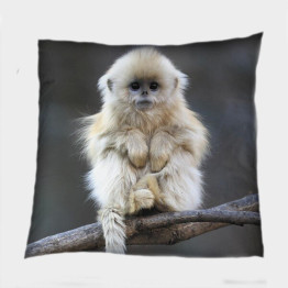 Dekorační polštář luxusní - Monkey