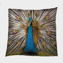 Polštář dekorační - Peacock