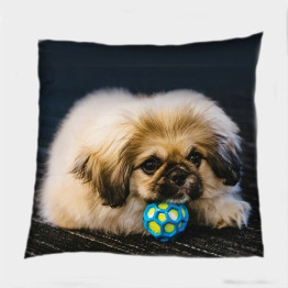 Dekorační polštář - Pekingese