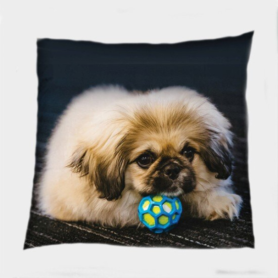 Dekorační polštář - Pekingese