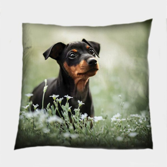 Polštářek - Pinscher