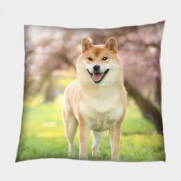 Dekorativní polštář - Shiba Inu
