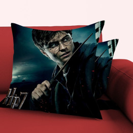Harry Potter polštář  - Harry Potter Spell
