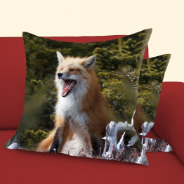 Polštář 45x45 - Fox Mountain