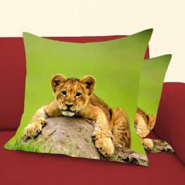 Polštářek - Little Baby Lion