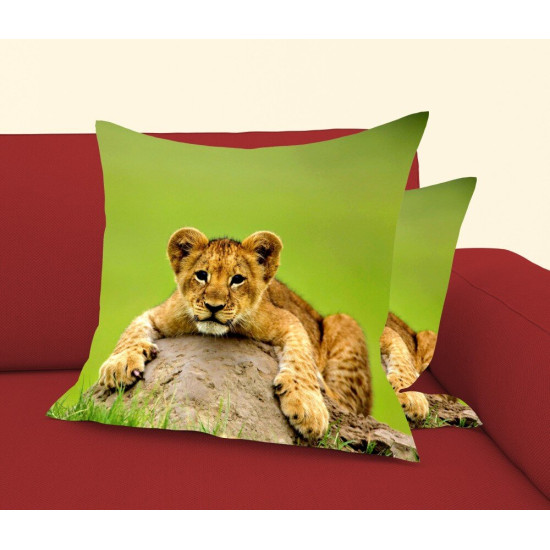Polštářek - Little Baby Lion