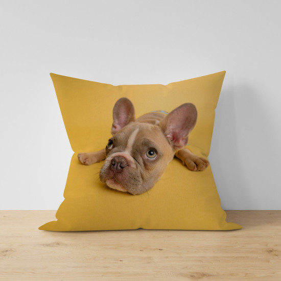 Dekorativní polštář - French Bulldog Puppy