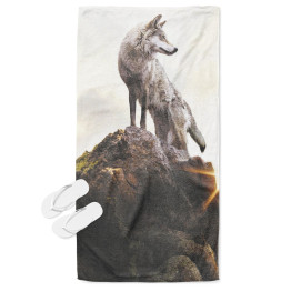 Osuška plážová - Wolf on a Rock