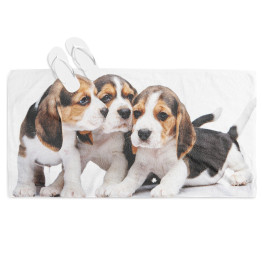 Plážová osuška 3D - Beagle Babies