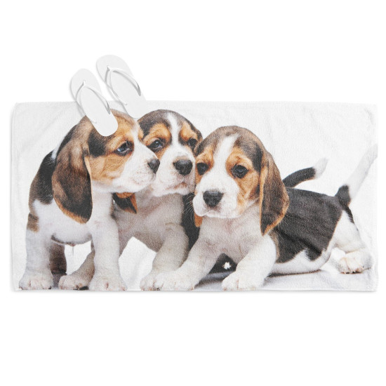 Plážová osuška 3D - Beagle Babies