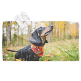 Osuška plážová - Dachshund