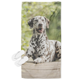Plážový ručník - Dalmatian