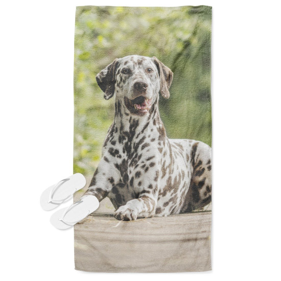 Plážový ručník - Dalmatian