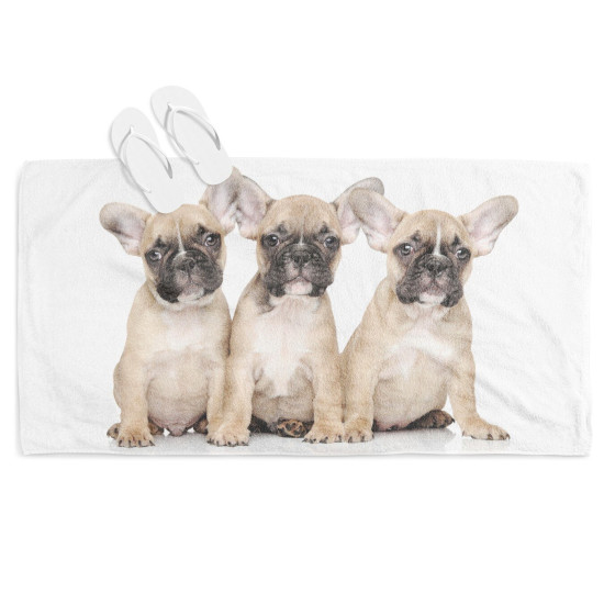 Plážová osuška - Baby French Bulldogs