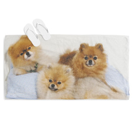 Osuška na pláž - Pomeranian